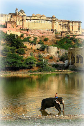 Amber Fort,Jaipur