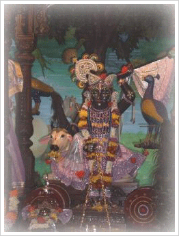 Shrinath ji Temple(Nathdwara)
