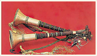 Musical Instrument, rajasthan