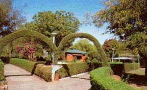 Chambal Garden in Kota