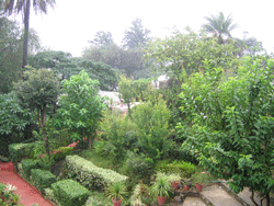 Gardens in Mount Abu