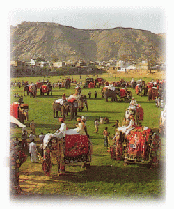 elephant festival in jaipur 
