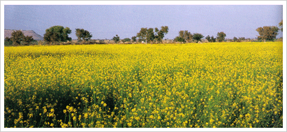 Agriculture Tourism 