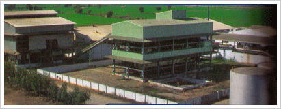 Biomass Energy