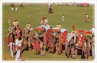 Elephant Festival, Jaipur