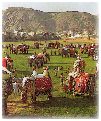 Elephant Festival, Jaipur