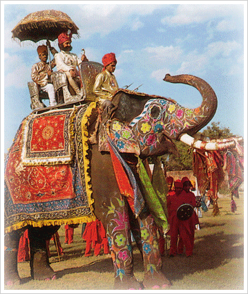 Elephant Safari