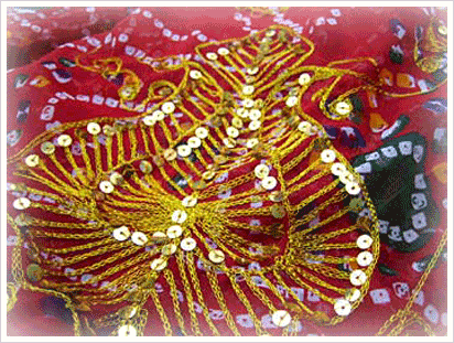 Embroidery and Mirror work