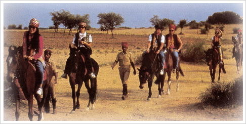 Horse Safari in Rajasthan
