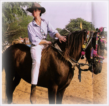 Horse Safari