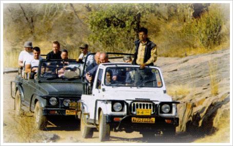 Jeep Safari in Rajasthan