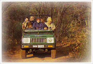 Jeep Safari