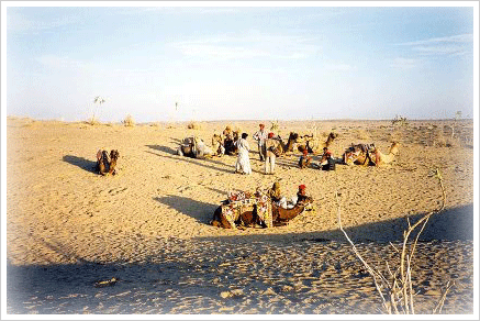 Desert National Park,Jaisalmer