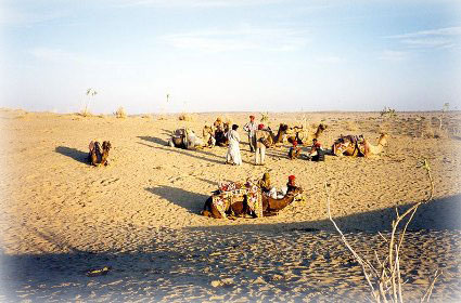 Desert National Park, Jaisalmer, Rajasthan