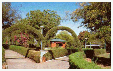 Chambal Garden