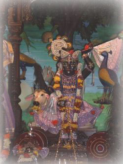 Pichhvai Painting at Shrinathji Temple in Nathdwara