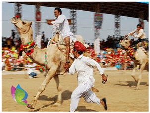 Pushkar Fair, Pushkar