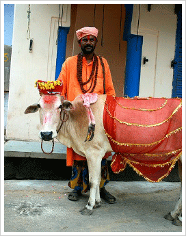 Pushkar Temples