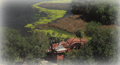Ranthambore National Park