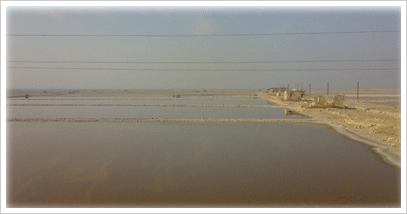 Sambhar Lake, Jaipur