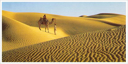 Sam Sand Dunes