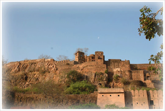 The Fort