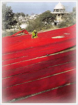 Textile Industry