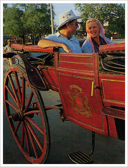 Tourism Industry 